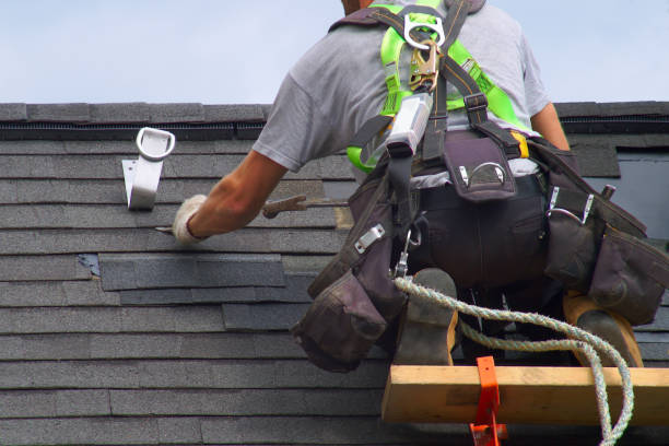 Best Roof Gutter Cleaning  in Howard, WI